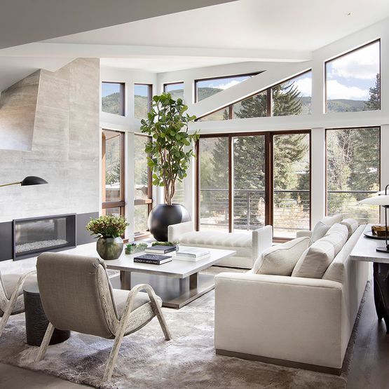 Award-Winning Residential Interior Designer in Aspen | Robyn Scott ...